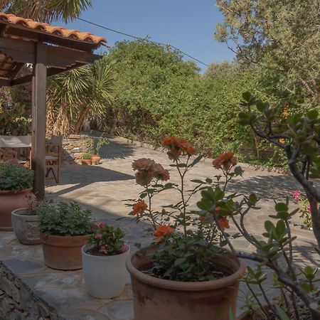 Private Pet Friendly Villa アイオス・ニコラオス エクステリア 写真